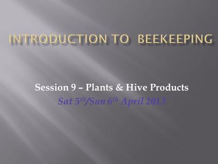 Session 9 – Plants & Hive Products Sat 5 th /Sun 6 th April 2013.