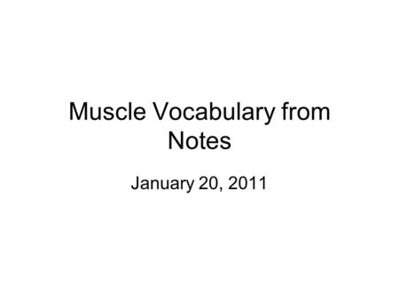 Muscle Vocabulary from Notes January 20, 2011. Vocabulary to learn… Myofibrils Myosin Actin Sarcomere I bands Z lines A bands H zone Sarcoplasmic reticulum.