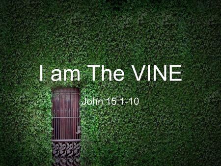 I am The VINE John 15:1-10. I am The VINE God is the Vinedresser : God the Father is ultimately the one who cares for us and watches how we grow.