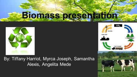 By: Tiffany Harriot, Myrca Joseph, Samantha Alexis, Angelita Mede Biomass presentation.