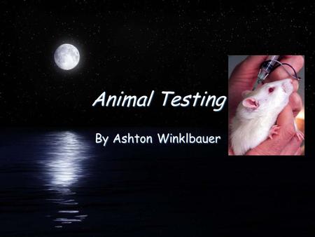 Animal Testing By Ashton Winklbauer. Paragraph 1 FDid you know that many cosmetic companies all over the world test their products on animals? Well over.