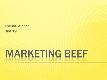 Animal Science 1 Unit 19.  Beef Promotion and Research Act of 1985  Established in 1985  $1/hd check off for every head of beef sold in the United.