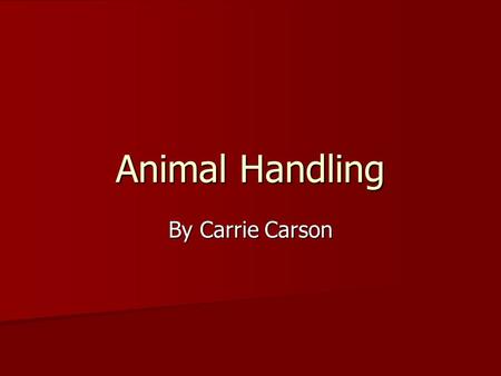 Animal Handling By Carrie Carson. Objectives Locate the blind spot on livestock Locate the blind spot on livestock List likes and dislikes for livestock.