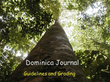 Dominica Journal Guidelines and Grading. Journal Format The journal is an important part of the Dominica Study Abroad field experience. A major goal of.