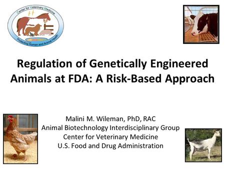 Malini M. Wileman, PhD, RAC Animal Biotechnology Interdisciplinary Group Center for Veterinary Medicine U.S. Food and Drug Administration Regulation of.