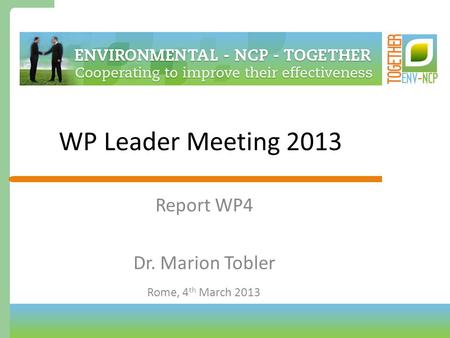 WP Leader Meeting 2013 Report WP4 Dr. Marion Tobler Rome, 4 th March 2013.