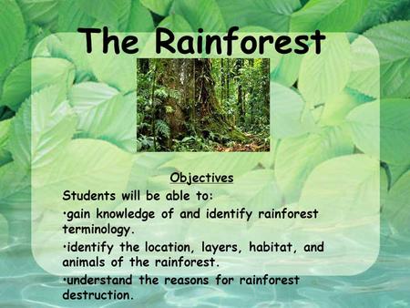 The Rainforest Objectives Students will be able to: gain knowledge of and identify rainforest terminology. identify the location, layers, habitat, and.