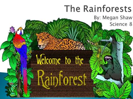 By: Megan Shaw Science 8. Index: Animals Macaw Tree frog Capybara Pictures fun facts Kinds of rainforests How much rain is in a rainforest Rainforest.