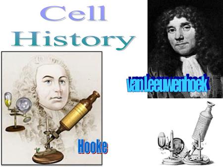 All life is made of cells Discovered after microscope invented 1665: Robert Hooke first observed cork (dead plant bark) –Cork reminded him of tiny rooms.