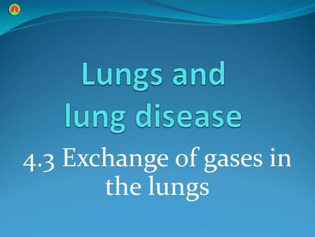 4.3 Exchange of gases in the lungs. Learning outcomes Students should understand the following: The essential features of the alveolar epithelium as a.