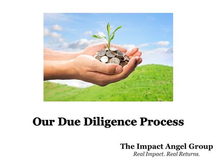 The Impact Angel Group Real Impact. Real Returns..