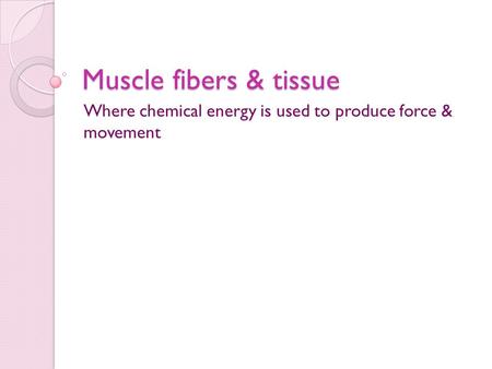 Muscle fibers & tissue Where chemical energy is used to produce force & movement.