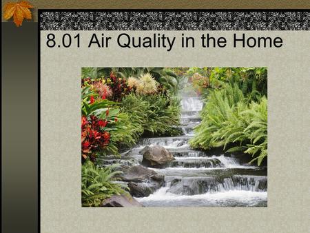 8.01 Air Quality in the Home. Air Purifiers Reduces indoor pollution such as dust, mold, bacteria, and any other pollutants.