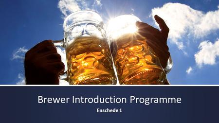Brewer Introduction Programme Enschede 1. Goals: 10% Dutch 90% International 200 STUDENTS.