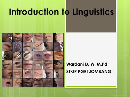 Introduction to Linguistics Wardani D. W, M.Pd STKIP PGRI JOMBANG.