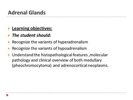 Adrenal Glands  Learning objectives:  The student should:  Recognize the variants of hyperadrenalism  Recognize the variants of hypoadrenalism  Understand.