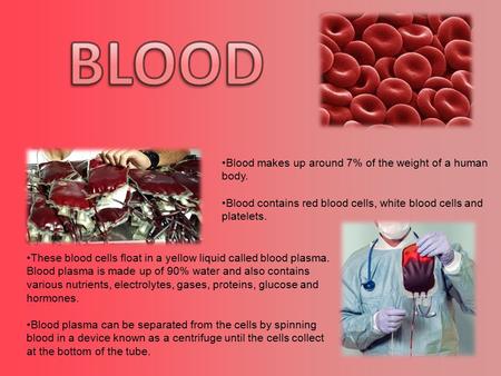 Blood makes up around 7% of the weight of a human body. Blood contains red blood cells, white blood cells and platelets. These blood cells float in a yellow.