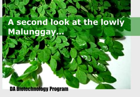 A second look at the lowly Malunggay… DA Biotechnology Program.