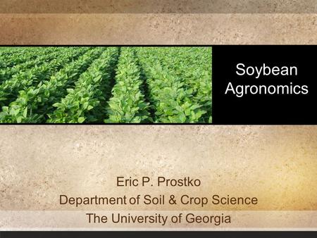 Soybean Agronomics Eric P. Prostko Department of Soil & Crop Science The University of Georgia.