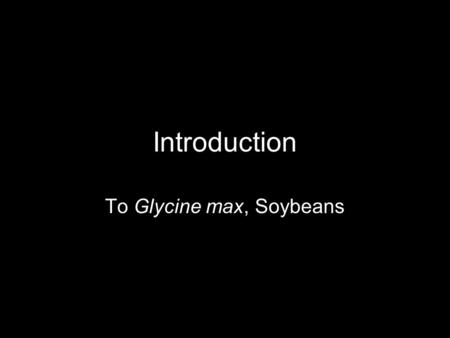To Glycine max, Soybeans
