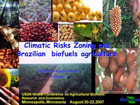 16.391,9017.069,1019.114,40 Climatic Risks Zoning and Brazilian biofuels agriculture USDA Global Conference on Agricultural Biofuels: Research and Economics.