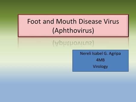 Nereli Isabel G. Agripa 4MB Virology. Order: Picornavirales Family: Picornaviridae Genus: Aphthovirus.