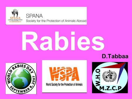Rabies D.Tabbaa. What is rabies? Rabies is a disease caused by a virus that attacks an animal’s brain and spinal cord.