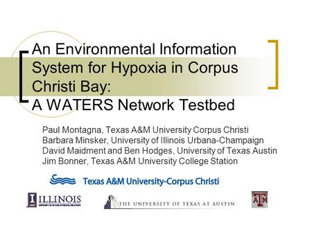 An Environmental Information System for Hypoxia in Corpus Christi Bay: A WATERS Network Testbed Paul Montagna, Texas A&M University Corpus Christi Barbara.