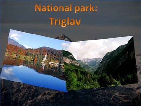The Triglav National Park (TNP) is the biggest Slovenian national park. The park was named after Triglav, the highest mountain in the heart of the park,
