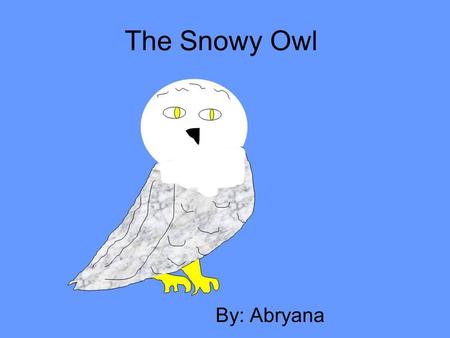 The Snowy Owl By: Abryana. Description Coloring: Size: Physical Characteristics: Source # 4 Male: Pure white Female: Brown spots, white Large owl! 53.