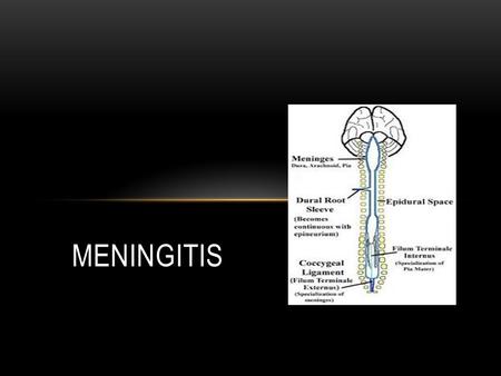 Meningitis.
