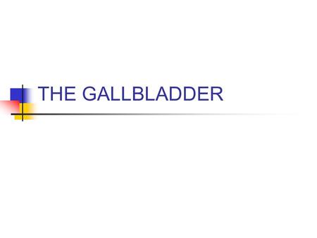 THE GALLBLADDER. I. Introduction/General Information A. Location: 1. Epigastric region 2. Right hypochondriac region 3. On inferior surface of liver 4.