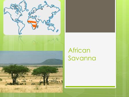 African Savanna.