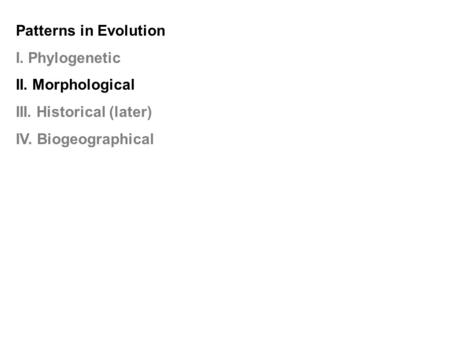 Patterns in Evolution I. Phylogenetic II. Morphological III. Historical (later) IV. Biogeographical.