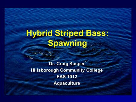 Hybrid Striped Bass: Spawning Dr. Craig Kasper Hillsborough Community College FAS 1012 Aquaculture.