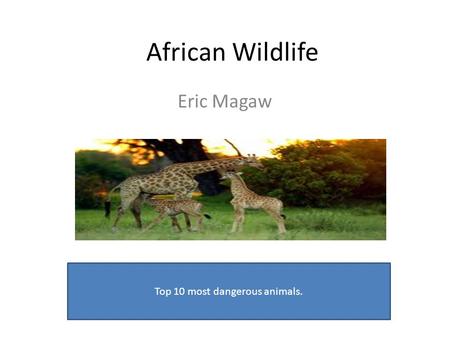 African Wildlife Eric Magaw Top 10 most dangerous animals.
