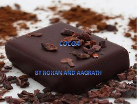 History of cocoa Cocoa or Xocolatie which was used by Aztecs. Cocoa is the dried fully fermented Seed of theobrama from which cocoa solids and cocoa butter.