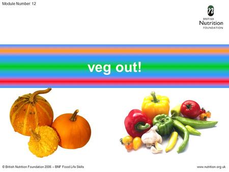 © British Nutrition Foundation 2006 – BNF Food Life Skillswww.nutrition.org.uk Module Number: 12 veg out!