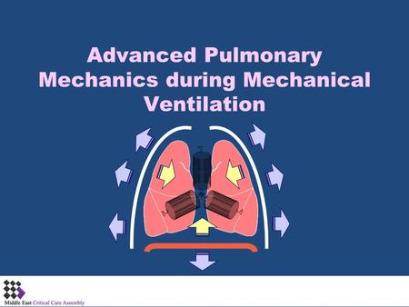 Advanced Pulmonary Mechanics during Mechanical Ventilation