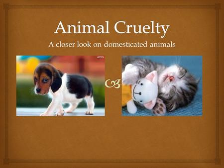 A closer look on domesticated animals.  Question! What exactly is animal cruelty? Animal cruelty can come in 2 forms -Abuse -Neglect  Abuse concerns.