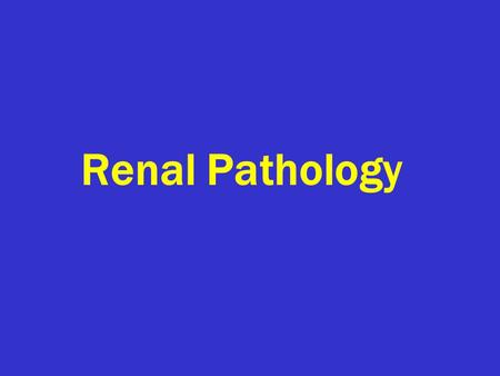 Renal Pathology. Introduction: 150gm: each kidney 1700 liters of blood filtered  180 L of G. filtrate  1.5 L of urine / day. Kidney is a retro-peritoneal.