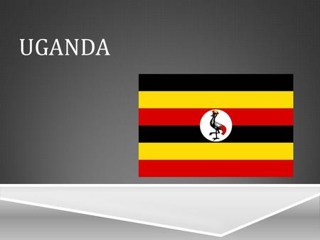 UGANDA.  Uganda is a country in Africa home to 35,873,253 Ugandans. The age in Uganda is typical from 1-64 years old with the median being around 15.1.