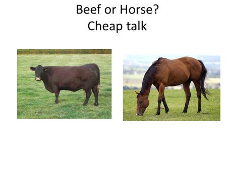 Beef or Horse? Cheap talk. Beef or horse? In a restaurant, some customers prefer beef, some prefer horse. Type s likes beef, type t likes horse Waitress.