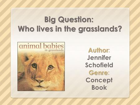 Big Question: Who lives in the grasslands? Author Author: Jennifer Schofield Genre Genre: Concept Book.