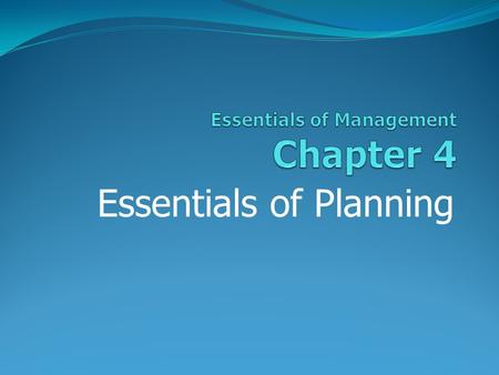 Essentials of Management Chapter 4