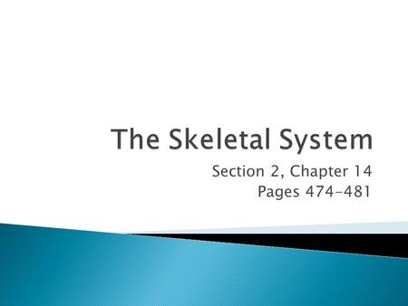 Section 2, Chapter 14 Pages 474-481.  Your framework, or skeleton, is made up of all the bones in your body.  Your skeleton has five major functions.