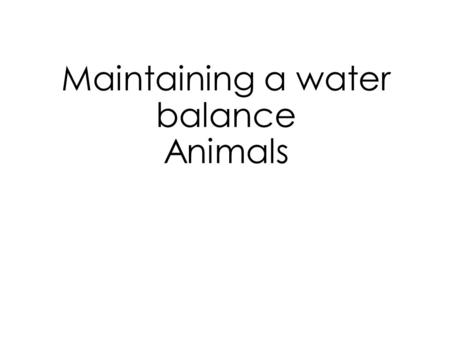 Maintaining a water balance Animals
