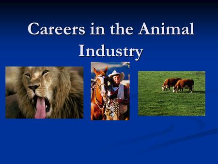 Careers in the Animal Industry. Three steps in choosing an occupation Self -analysis Study an occupation Make a decision.