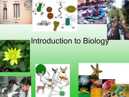 Introduction to Biology. The Golden Rule Treat thy neighbor as thyself. Do unto others as you would have them do unto you As you give, so shall you.