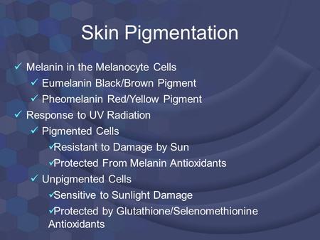 Skin Pigmentation Melanin in the Melanocyte Cells Eumelanin Black/Brown Pigment Pheomelanin Red/Yellow Pigment Response to UV Radiation Pigmented Cells.